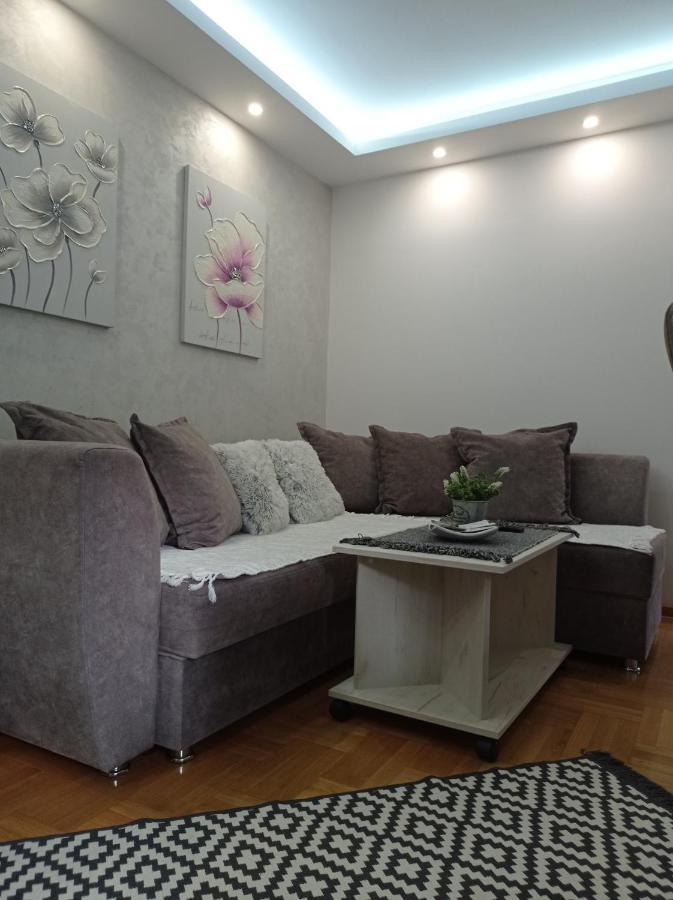 Apartman Harmonija Vrnjačka Banja Esterno foto