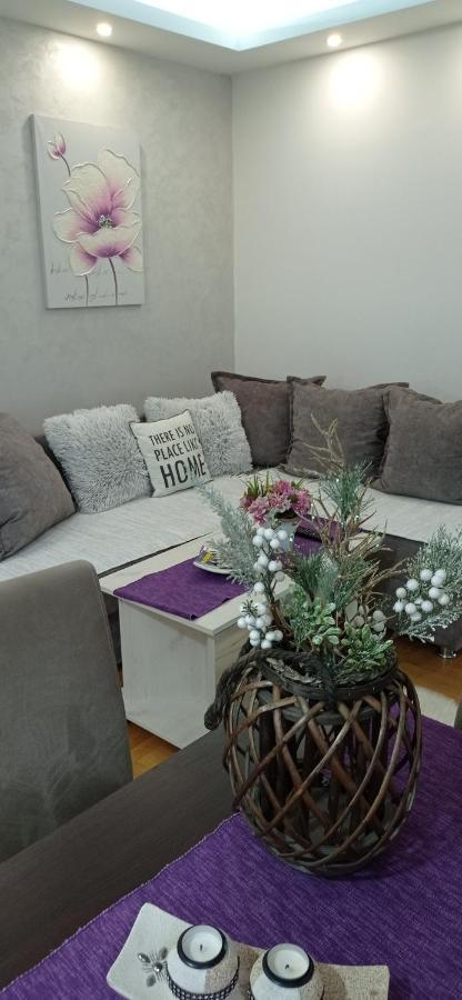 Apartman Harmonija Vrnjačka Banja Esterno foto