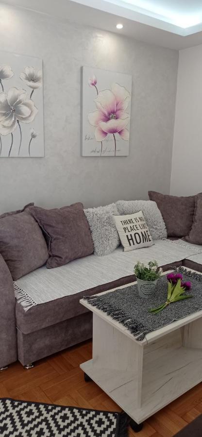 Apartman Harmonija Vrnjačka Banja Esterno foto