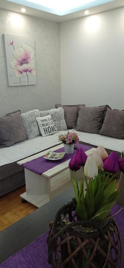 Apartman Harmonija Vrnjačka Banja Esterno foto