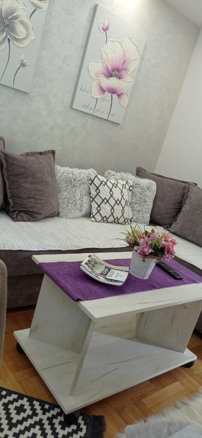 Apartman Harmonija Vrnjačka Banja Esterno foto