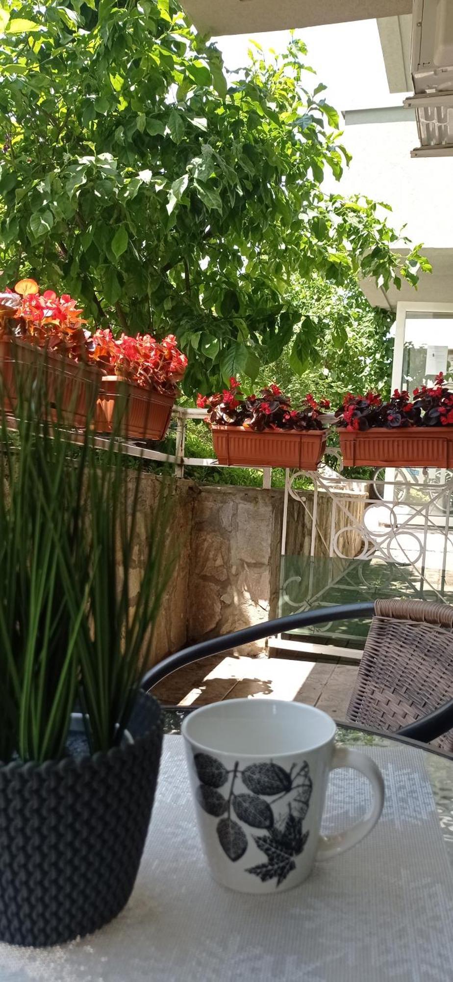 Apartman Harmonija Vrnjačka Banja Esterno foto